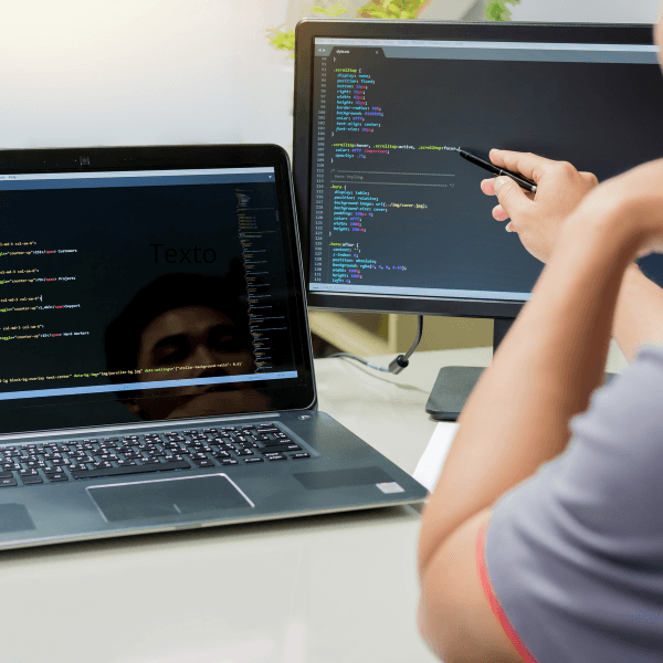 Desarrollo de Software